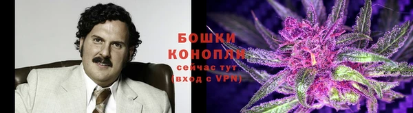 прущий лед Абаза