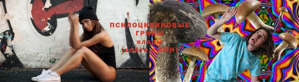a pvp Абдулино
