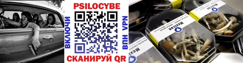 KRAKEN ССЫЛКА  Староминская  Галлюциногенные грибы мицелий 