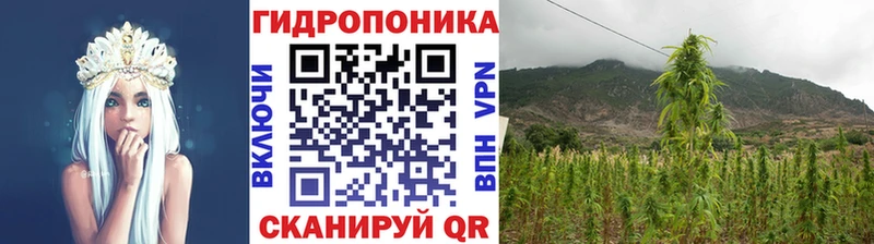 Конопля VHQ Староминская